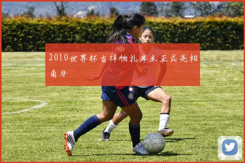 2010世界杯吉祥物扎库米正式亮相南非