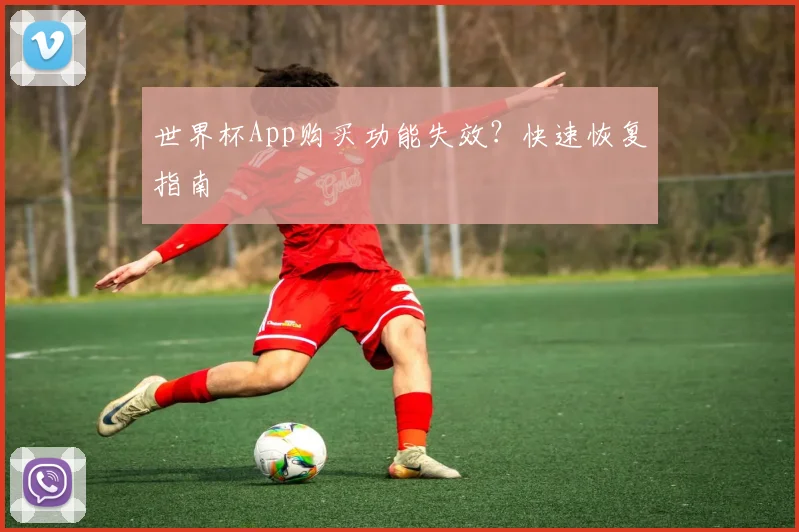 世界杯App购买功能失效?快速恢复指南
