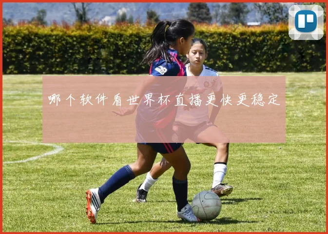 哪个软件看世界杯直播更快更稳定