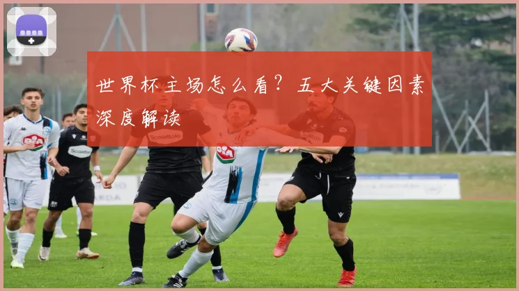 世界杯主场怎么看？五大关键因素深度解读