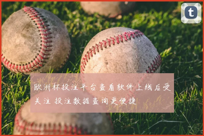 欧洲杯投注平台查看软件上线后受关注 投注数据查询更便捷
