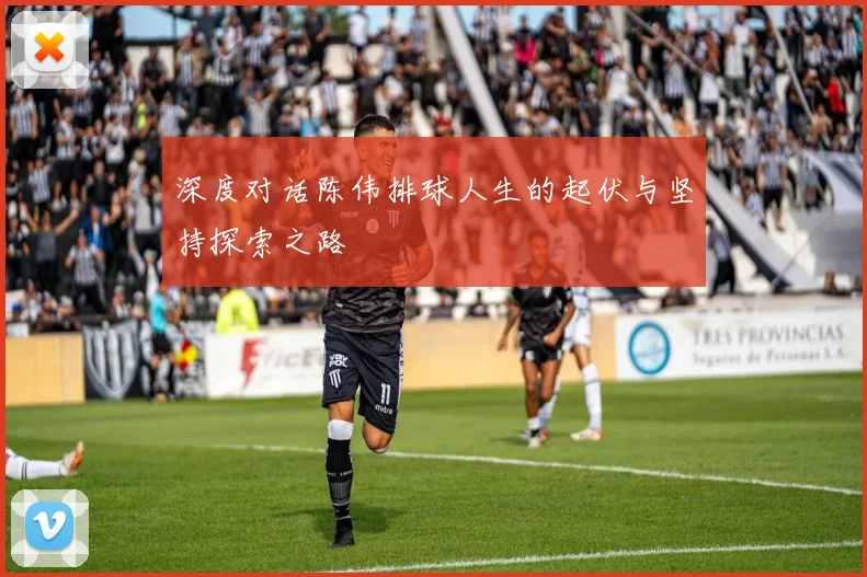 深度对话陈伟排球人生的起伏与坚持探索之路