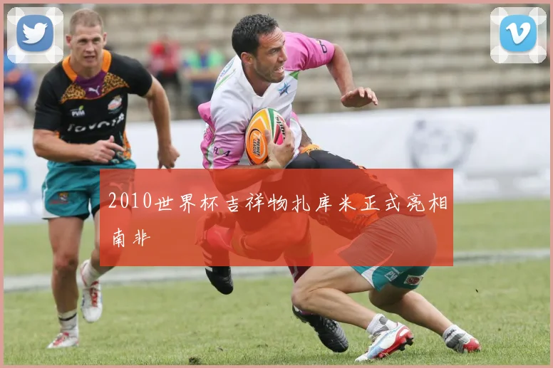 2010世界杯吉祥物扎库米正式亮相南非