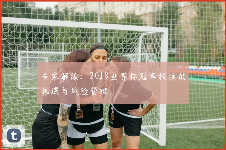 专家解读:2018世界杯冠军投注的机遇与风险管理