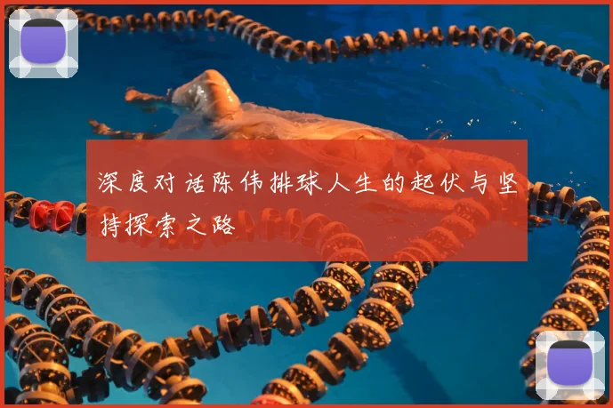 深度对话陈伟排球人生的起伏与坚持探索之路